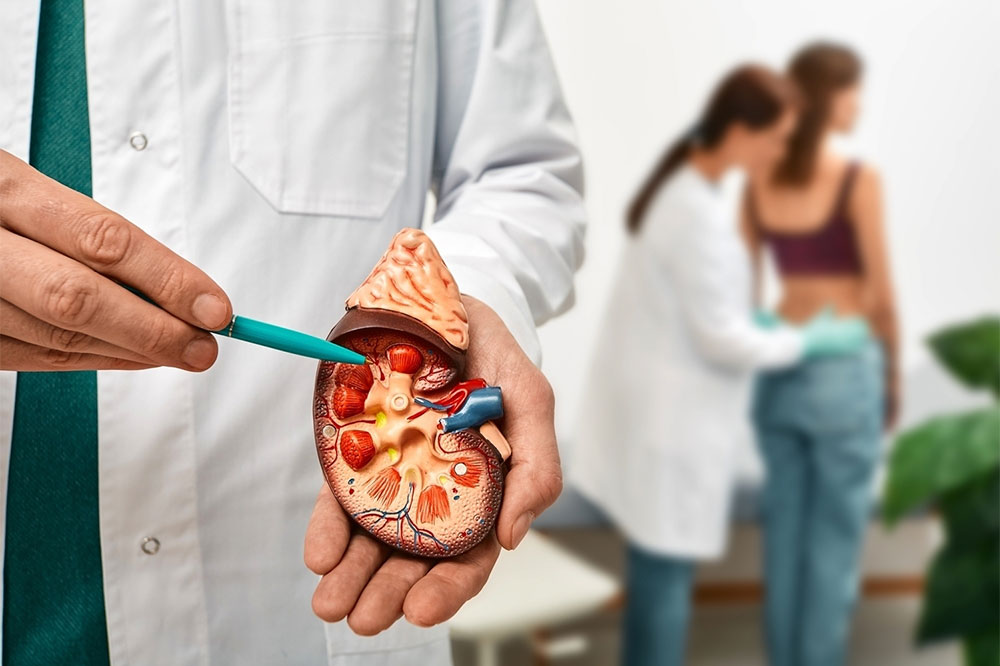 Understanding Kidney Transplant, its Types, and More