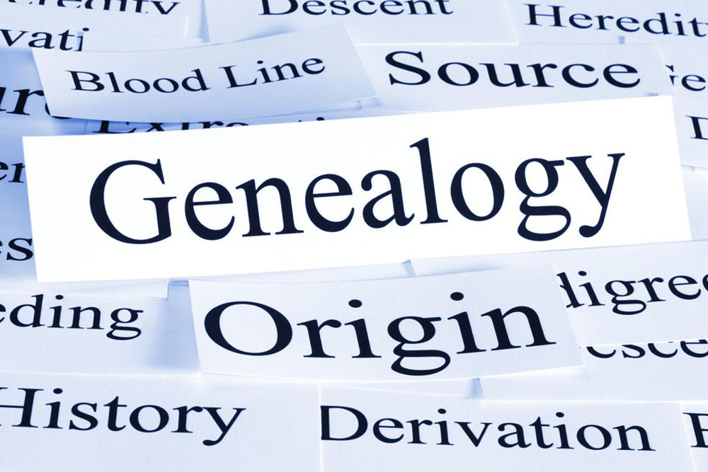 Explore your roots &#8211; Genealogy