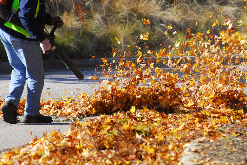 List Of The Best Leaf Blowers In The Market