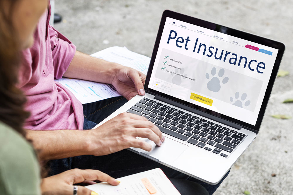 The Importance of a Pet Insurance